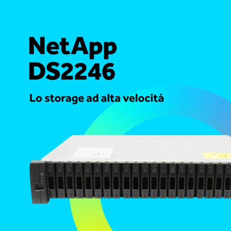NetApp DS2246